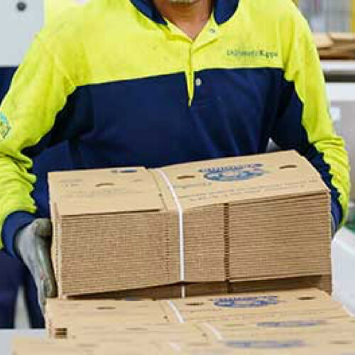 industrias-07